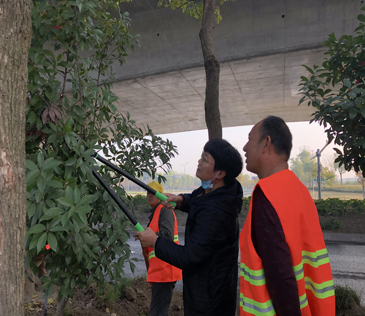 負責人現(xiàn)場指導苗木修剪.jpg