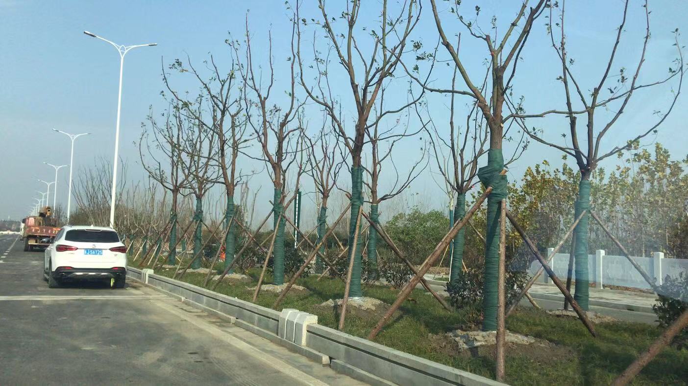 37df06d281d3eca9e80eaf3be792960.jpg 37df06d281d3eca9e80eaf3be792960.jpg