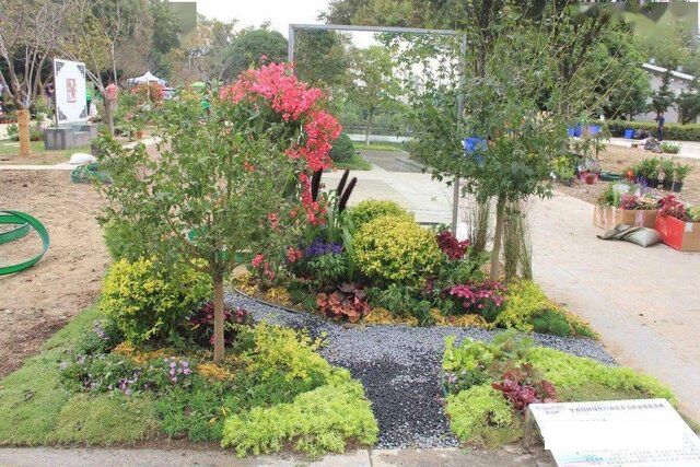 參賽作品.jpg 參賽作品.jpg