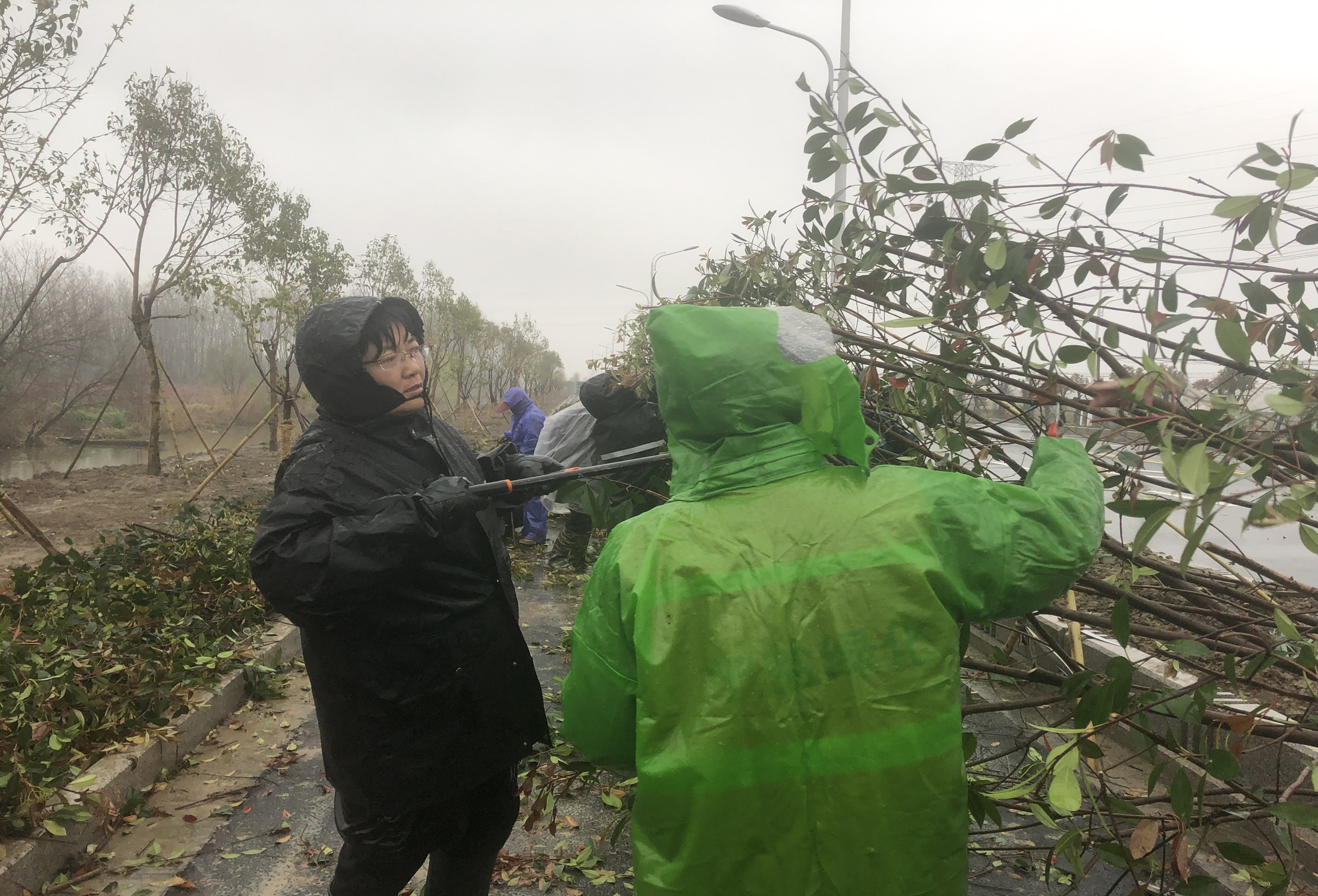 現(xiàn)在指導(dǎo)修剪.jpg 現(xiàn)在指導(dǎo)修剪.jpg