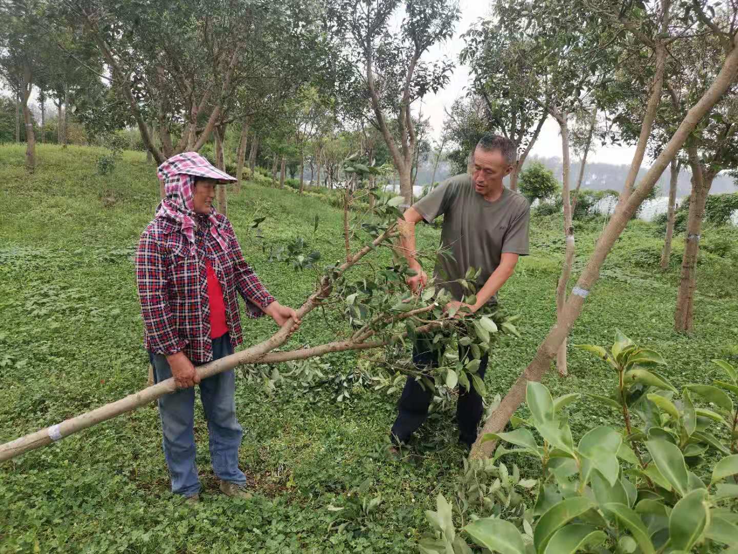 96ddc27aaf0117a75b30b07cdebd8d1.jpg 96ddc27aaf0117a75b30b07cdebd8d1.jpg