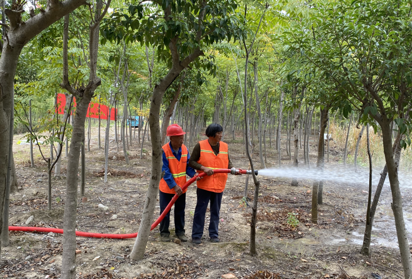 QQ截圖20221021172911.png QQ截圖20221021172911.png