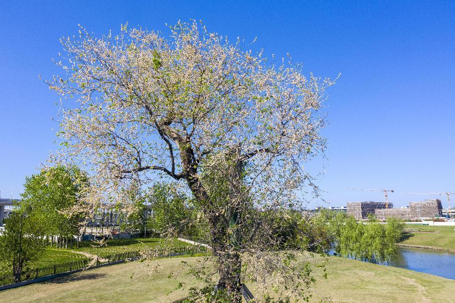 圖片3.png 圖片3.png