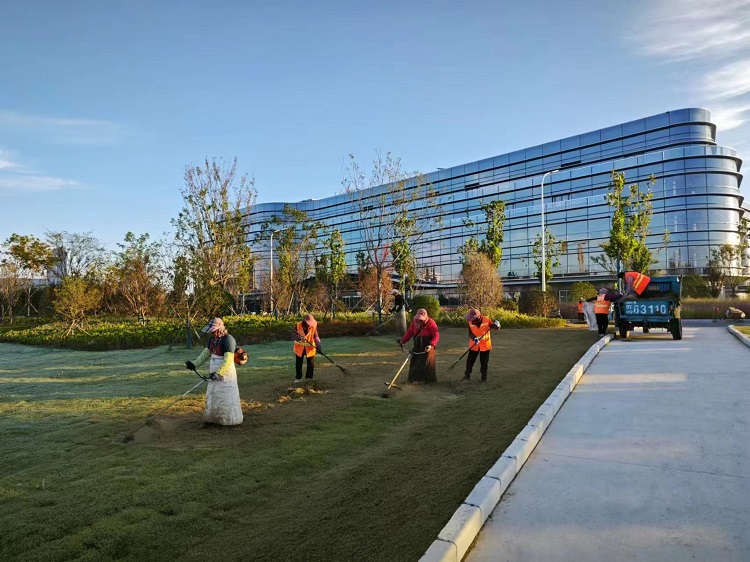 微信圖片_20241025094526.jpg 微信圖片_20241025094526.jpg