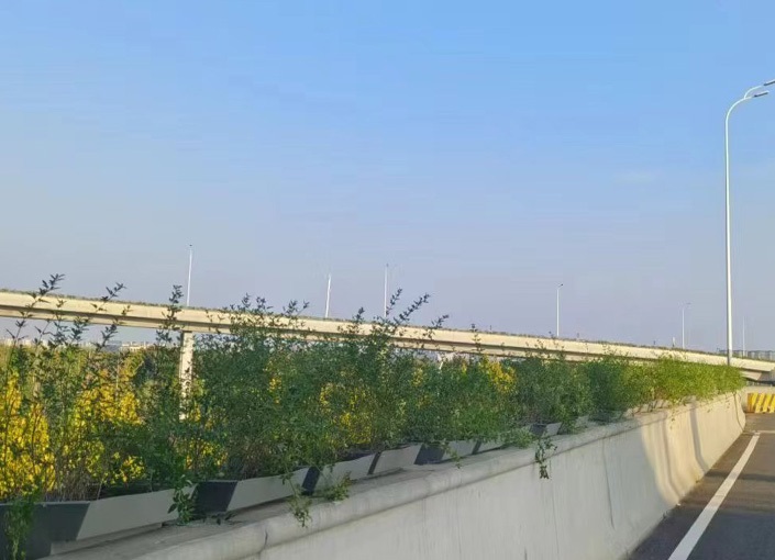 555555.jpg 555555.jpg