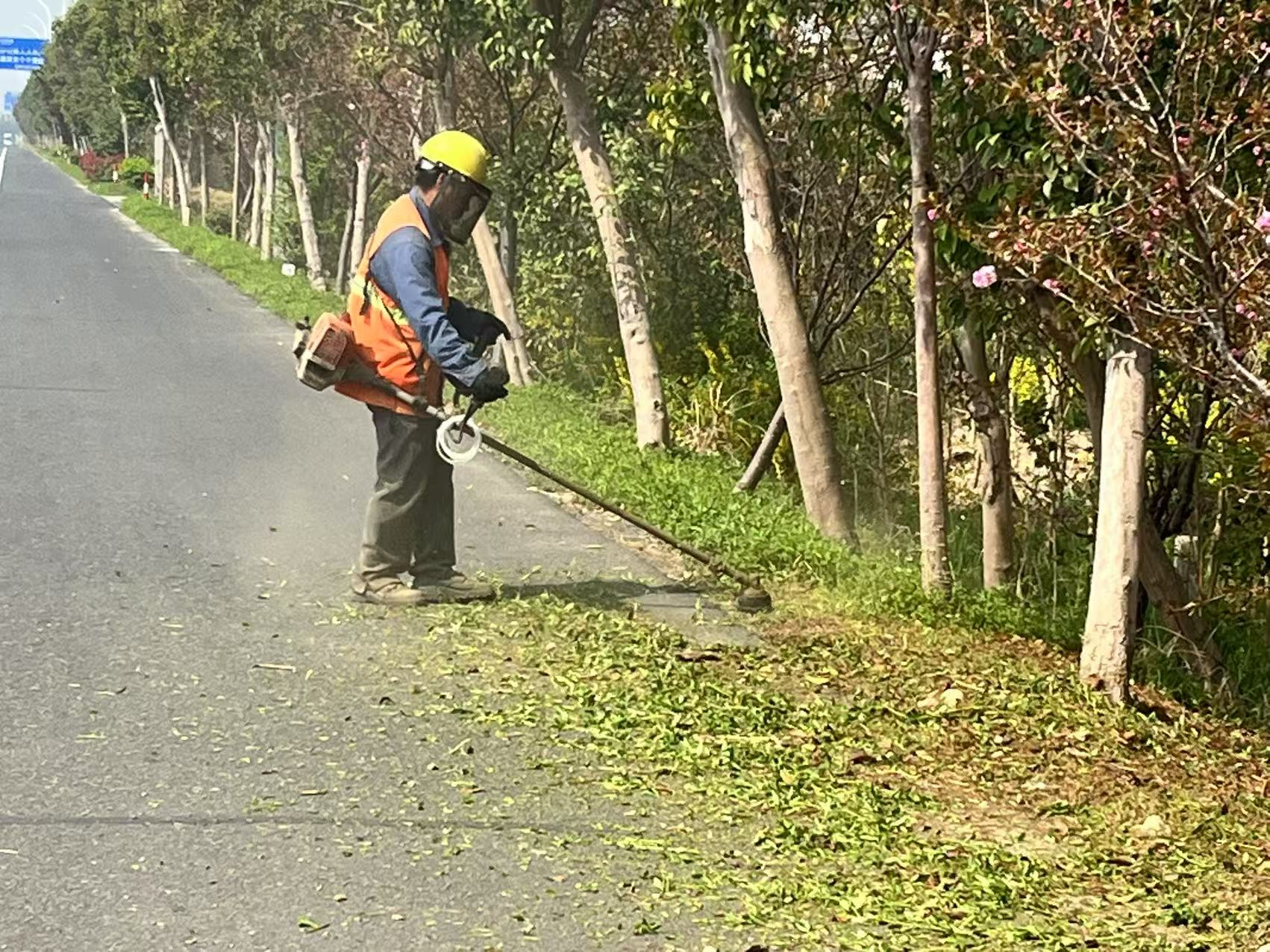 圖片2.png 圖片2.png