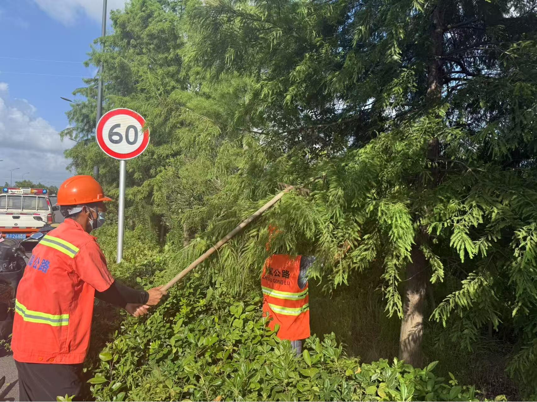 全域覆蓋 精細(xì)化養(yǎng)護(hù)1.jpg